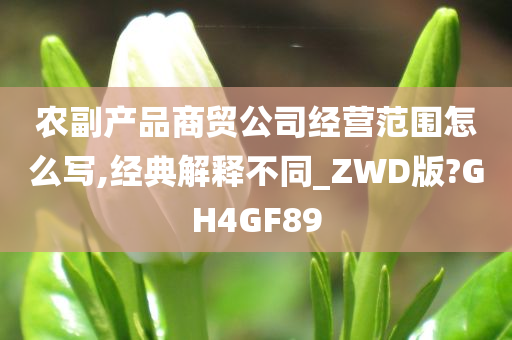 农副产品商贸公司经营范围怎么写,经典解释不同_ZWD版?GH4GF89