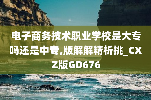 电子商务技术职业学校是大专吗还是中专,版解解精析挑_CXZ版GD676