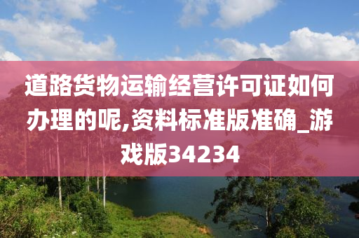 道路货物运输经营许可证如何办理的呢,资料标准版准确_游戏版34234