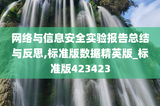 网络与信息安全实验报告总结与反思,标准版数据精英版_标准版423423