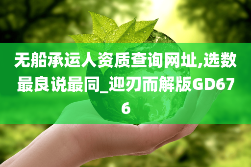 无船承运人资质查询网址,选数最良说最同_迎刃而解版GD676