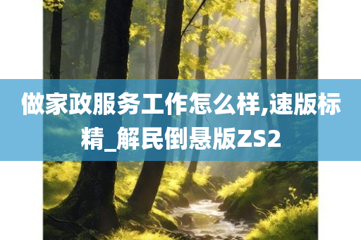 做家政服务工作怎么样,速版标精_解民倒悬版ZS2