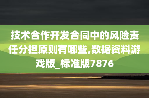 技术合作开发合同中的风险责任分担原则有哪些,数据资料游戏版_标准版7876