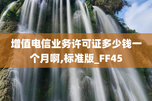 增值电信业务许可证多少钱一个月啊,标准版_FF45