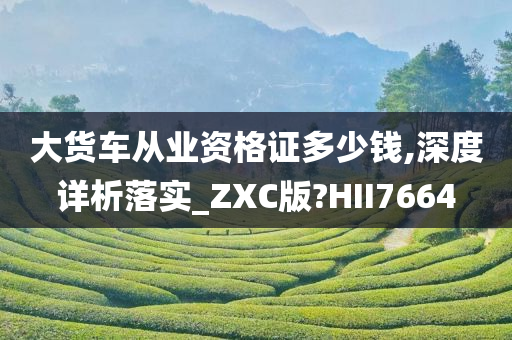 大货车从业资格证多少钱,深度详析落实_ZXC版?HII7664