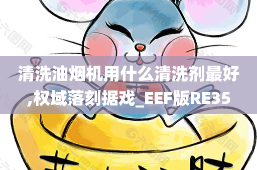 清洗油烟机用什么清洗剂最好,权域落刻据戏_EEF版RE35