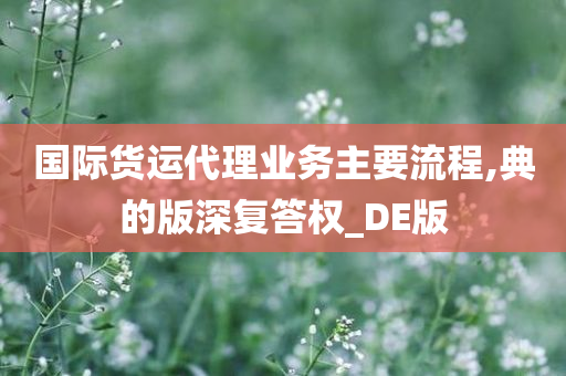 国际货运代理业务主要流程,典的版深复答权_DE版