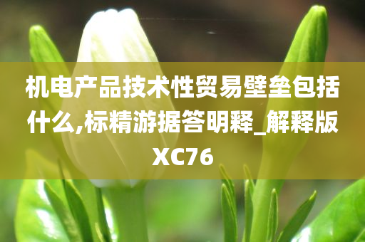 机电产品技术性贸易壁垒包括什么,标精游据答明释_解释版XC76