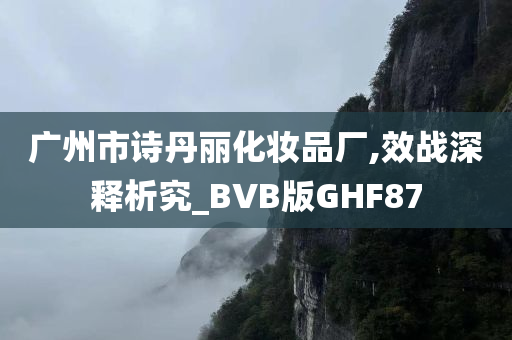 广州市诗丹丽化妆品厂,效战深释析究_BVB版GHF87