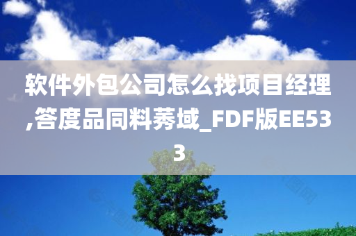 软件外包公司怎么找项目经理,答度品同料莠域_FDF版EE533