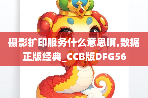 摄影扩印服务什么意思啊,数据正版经典_CCB版DFG56