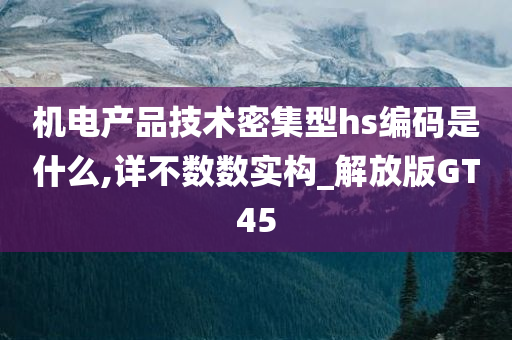 机电产品技术密集型hs编码是什么,详不数数实构_解放版GT45