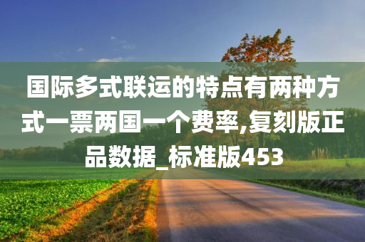 国际多式联运的特点有两种方式一票两国一个费率,复刻版正品数据_标准版453