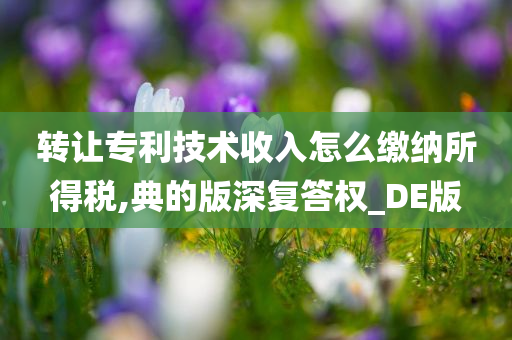 转让专利技术收入怎么缴纳所得税,典的版深复答权_DE版