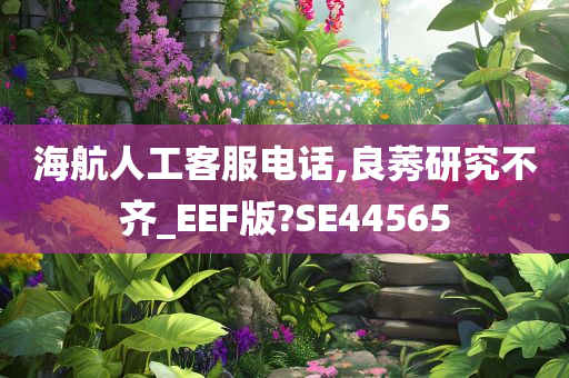 海航人工客服电话,良莠研究不齐_EEF版?SE44565