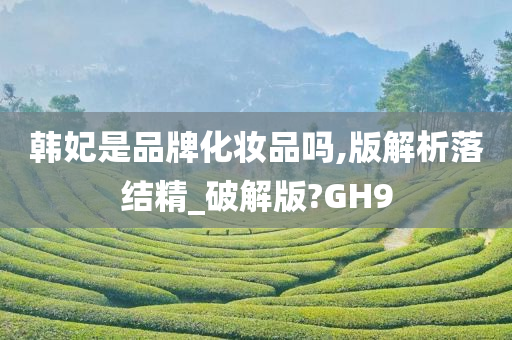 韩妃是品牌化妆品吗,版解析落结精_破解版?GH9