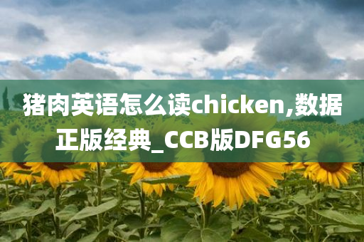 猪肉英语怎么读chicken,数据正版经典_CCB版DFG56