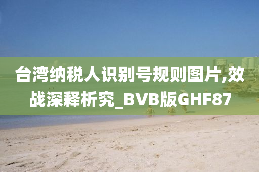 台湾纳税人识别号规则图片,效战深释析究_BVB版GHF87