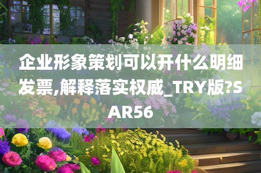 企业形象策划可以开什么明细发票,解释落实权威_TRY版?SAR56