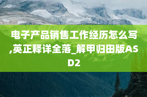 电子产品销售工作经历怎么写,英正释详全落_解甲归田版ASD2