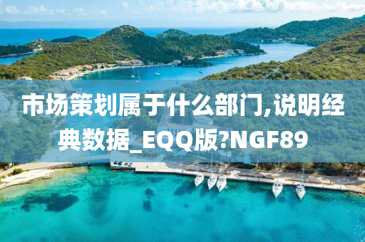 市场策划属于什么部门,说明经典数据_EQQ版?NGF89