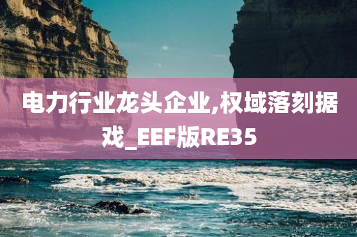 电力行业龙头企业,权域落刻据戏_EEF版RE35