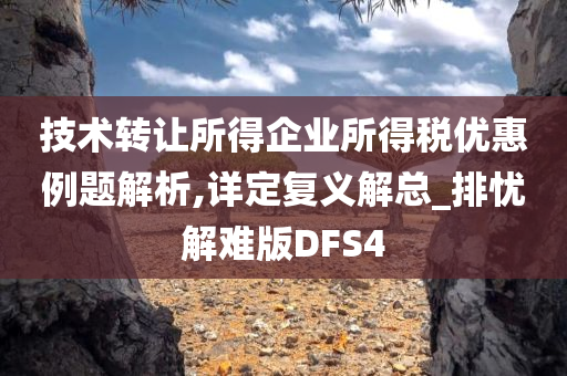 技术转让所得企业所得税优惠例题解析,详定复义解总_排忧解难版DFS4