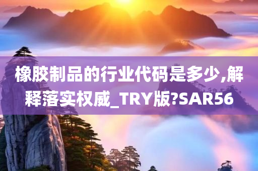 橡胶制品的行业代码是多少,解释落实权威_TRY版?SAR56