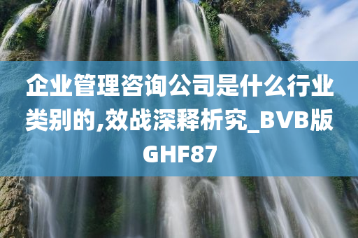 企业管理咨询公司是什么行业类别的,效战深释析究_BVB版GHF87