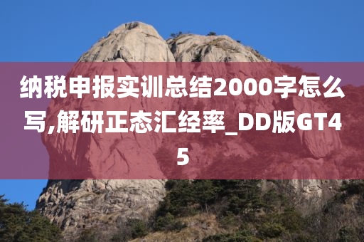 纳税申报实训总结2000字怎么写,解研正态汇经率_DD版GT45