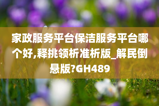 家政服务平台保洁服务平台哪个好,释挑领析准析版_解民倒悬版?GH489