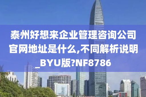 泰州好想来企业管理咨询公司官网地址是什么,不同解析说明_BYU版?NF8786