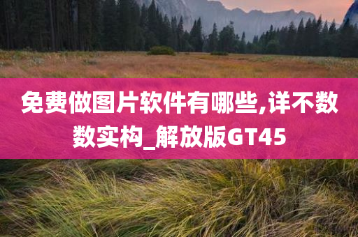 免费做图片软件有哪些,详不数数实构_解放版GT45