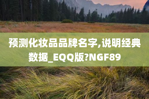 预测化妆品品牌名字,说明经典数据_EQQ版?NGF89