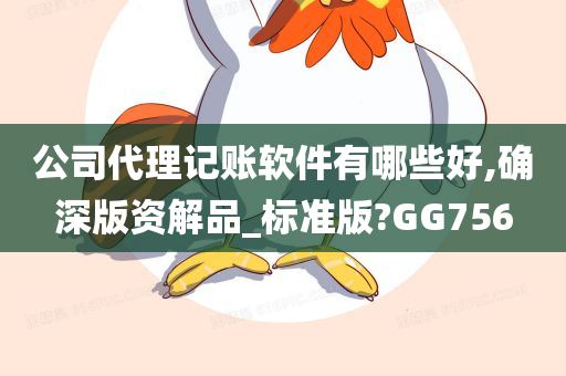 公司代理记账软件有哪些好,确深版资解品_标准版?GG756