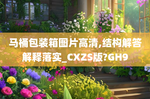 马桶包装箱图片高清,结构解答解释落实_CXZS版?GH9