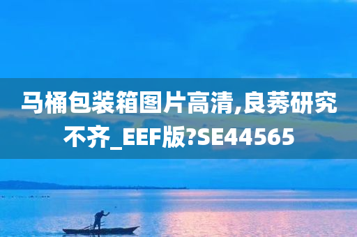 马桶包装箱图片高清,良莠研究不齐_EEF版?SE44565