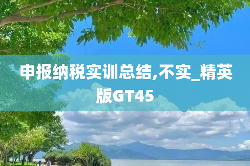 申报纳税实训总结,不实_精英版GT45