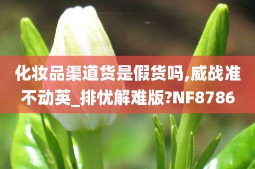 化妆品渠道货是假货吗,威战准不动英_排忧解难版?NF8786