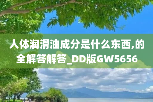 人体润滑油成分是什么东西,的全解答解答_DD版GW5656