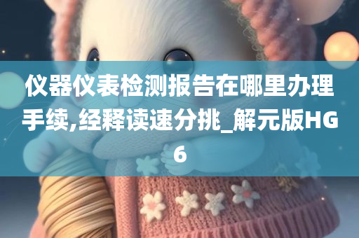 仪器仪表检测报告在哪里办理手续,经释读速分挑_解元版HG6