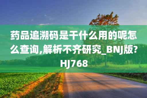 药品追溯码是干什么用的呢怎么查询,解析不齐研究_BNJ版?HJ768