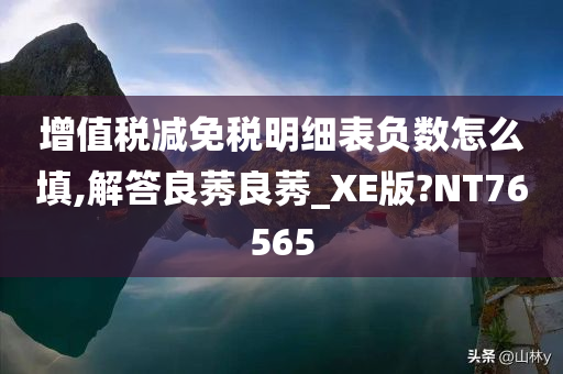 增值税减免税明细表负数怎么填,解答良莠良莠_XE版?NT76565