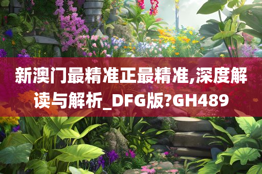 新澳门最精准正最精准,深度解读与解析_DFG版?GH489