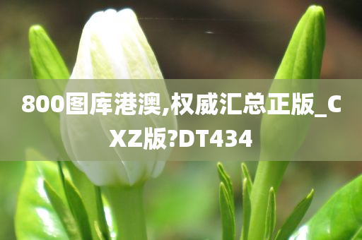 800图库港澳,权威汇总正版_CXZ版?DT434