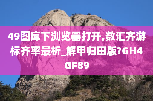 49图库下浏览器打开,数汇齐游标齐率最析_解甲归田版?GH4GF89