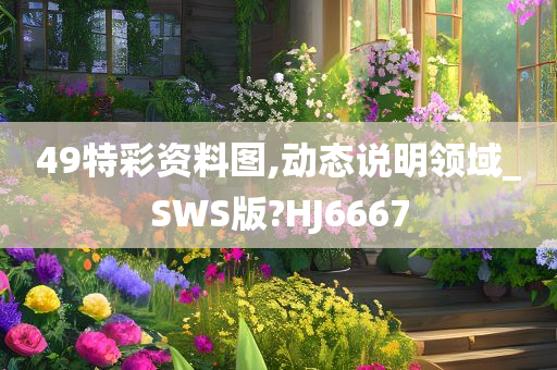 49特彩资料图,动态说明领域_SWS版?HJ6667