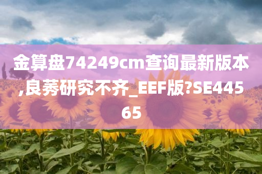 金算盘74249cm查询最新版本,良莠研究不齐_EEF版?SE44565