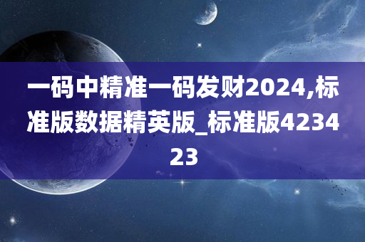 一码中精准一码发财2024,标准版数据精英版_标准版423423