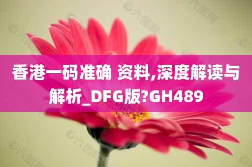 香港一码准确 资料,深度解读与解析_DFG版?GH489